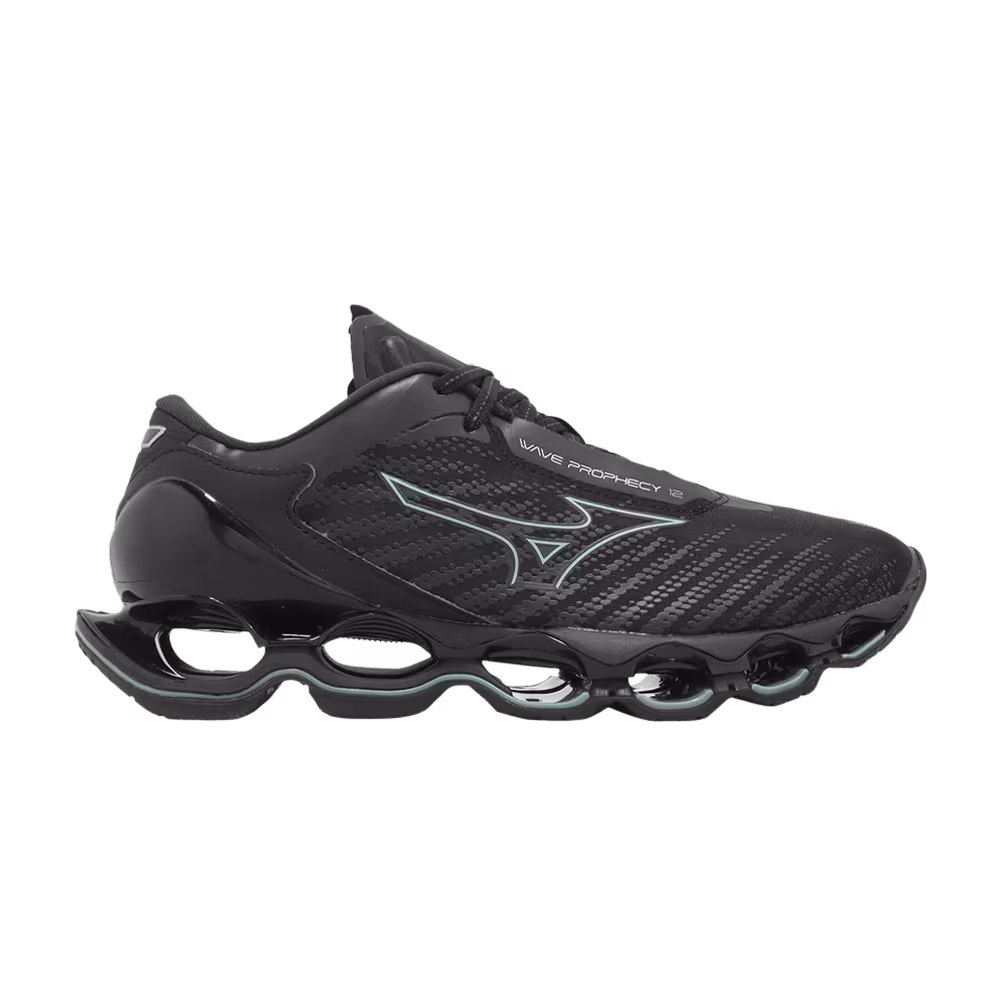 Mizuno Wave Prophecy 12 Black Blue
