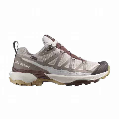 Salomon Wmns X Ultra 360 Edge GORE-TEX 'Silver Cloud Rum Raisin'