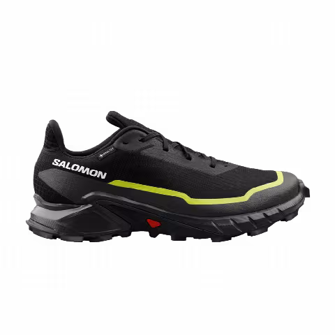 Salomon Alphacross 5 GORE-TEX 'Black Peat Sulphur'