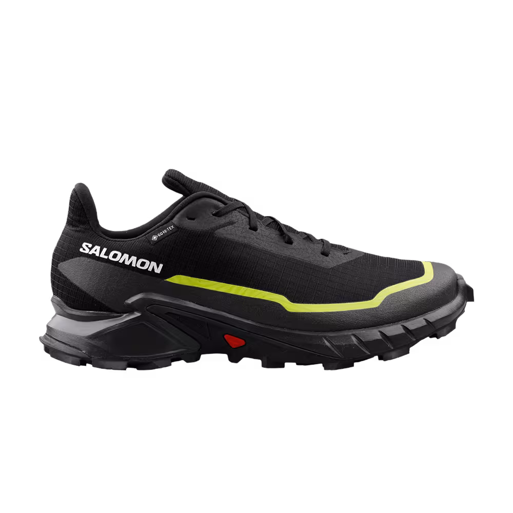 Salomon Alphacross 5 GORE-TEX Black Peat Sulphur