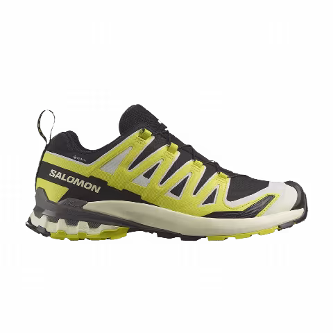 Salomon XA Pro 3D V9 GORE-TEX 'Black Sulfur Spring Pewter'