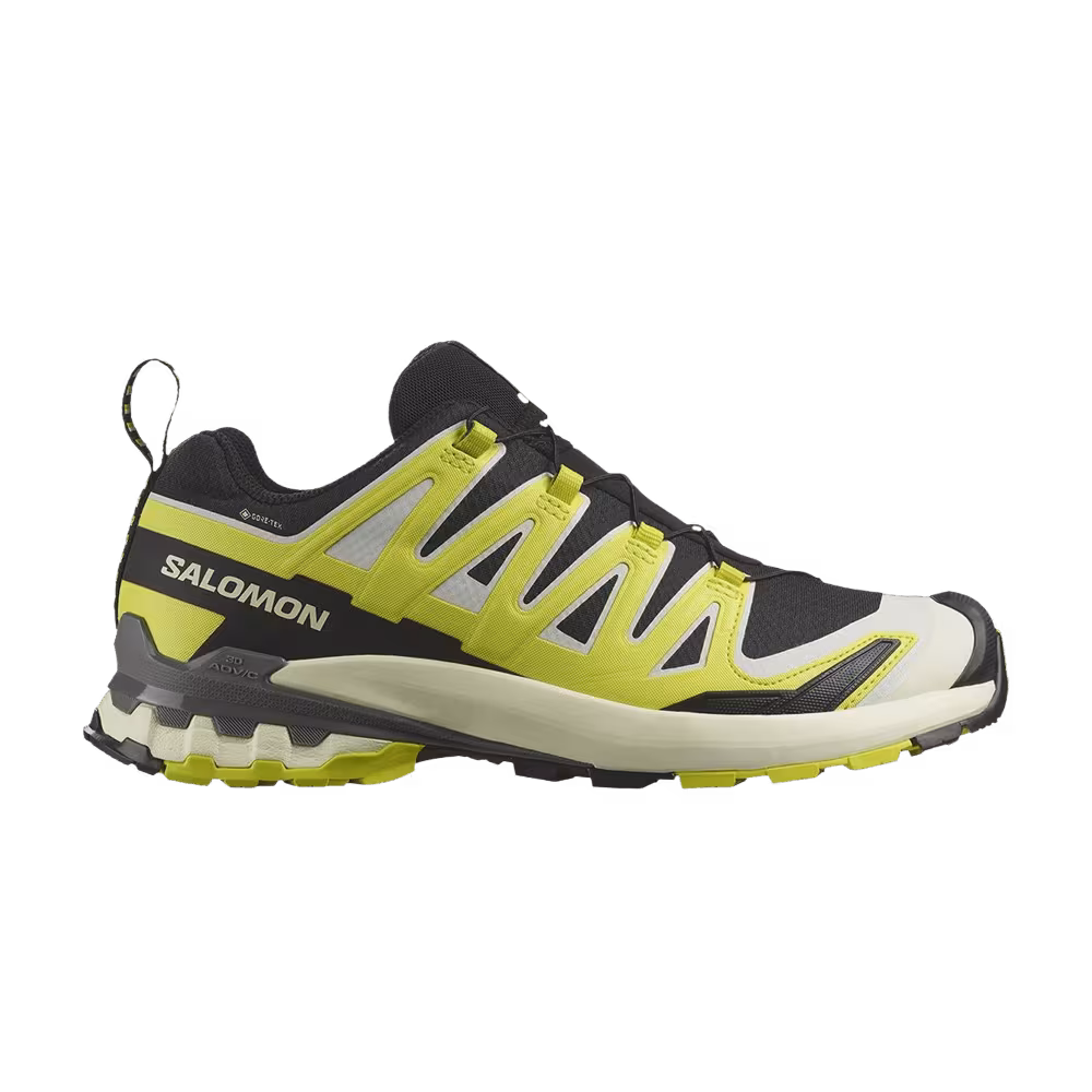 Salomon XA Pro 3D V9 GORE-TEX Black Sulfur Spring Pewter