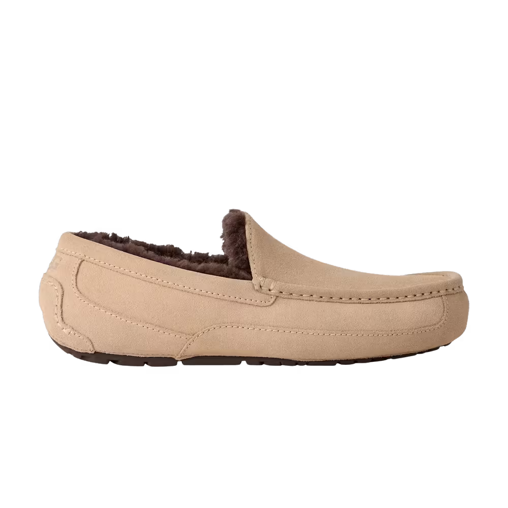 UGG Ascot Slipper Mustard Seed Molasses