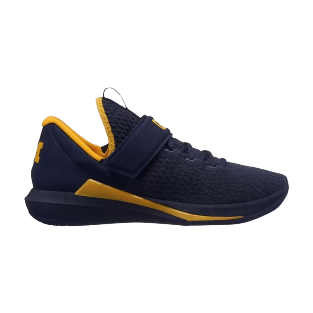 Air Jordan Trainer 3 Michigan