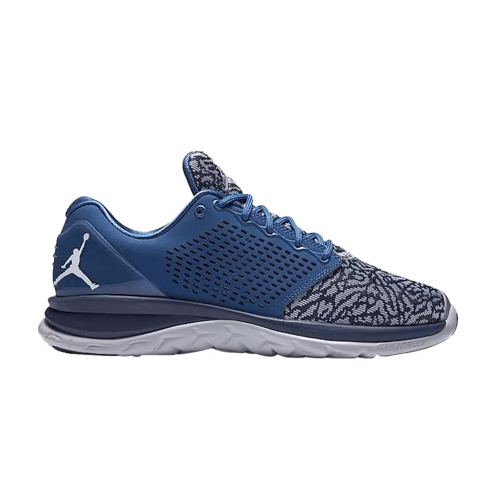 Air Jordan Trainer ST French Blue