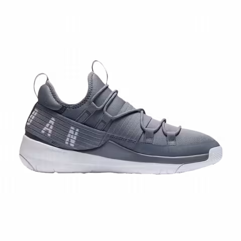 Air Jordan Trainer Pro 'Cool Grey'