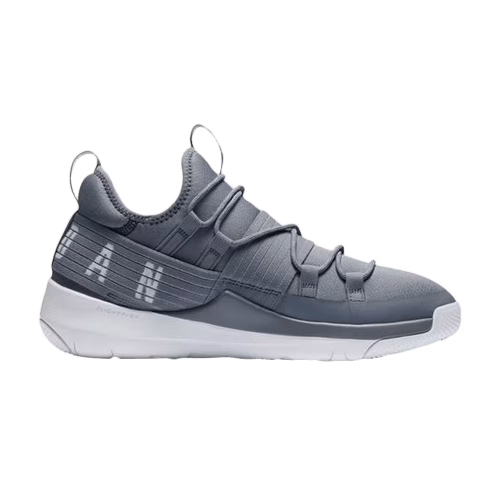 Air Jordan Trainer Pro Cool Grey