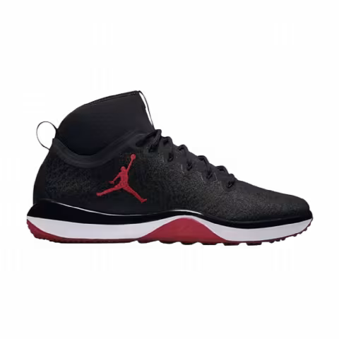 Air Jordan Trainer 1