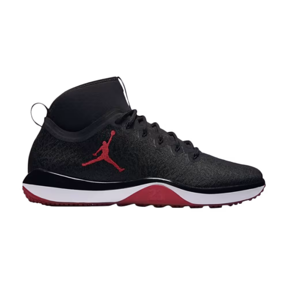 Air Jordan Trainer 1