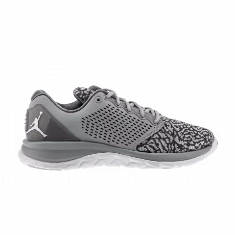 Air Jordan Trainer ST 'Wolf Grey'