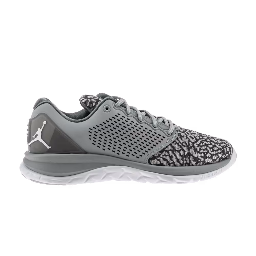 Air Jordan Trainer ST Wolf Grey