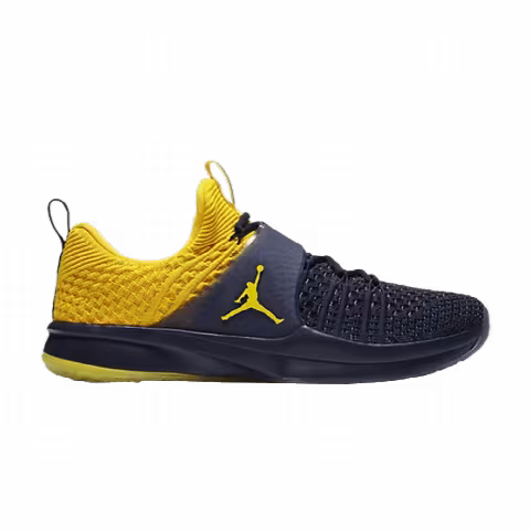 Air Jordan Trainer 2 Flyknit 'Michigan'