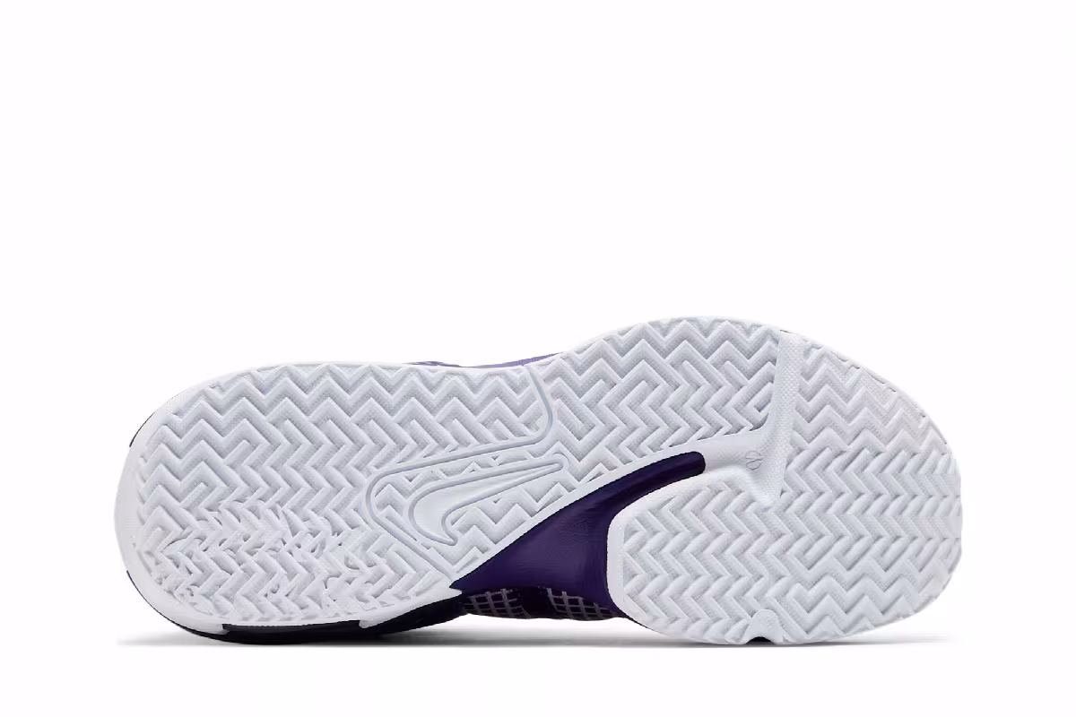 Nike LeBron Witness 7 TB Court Purple, view 5