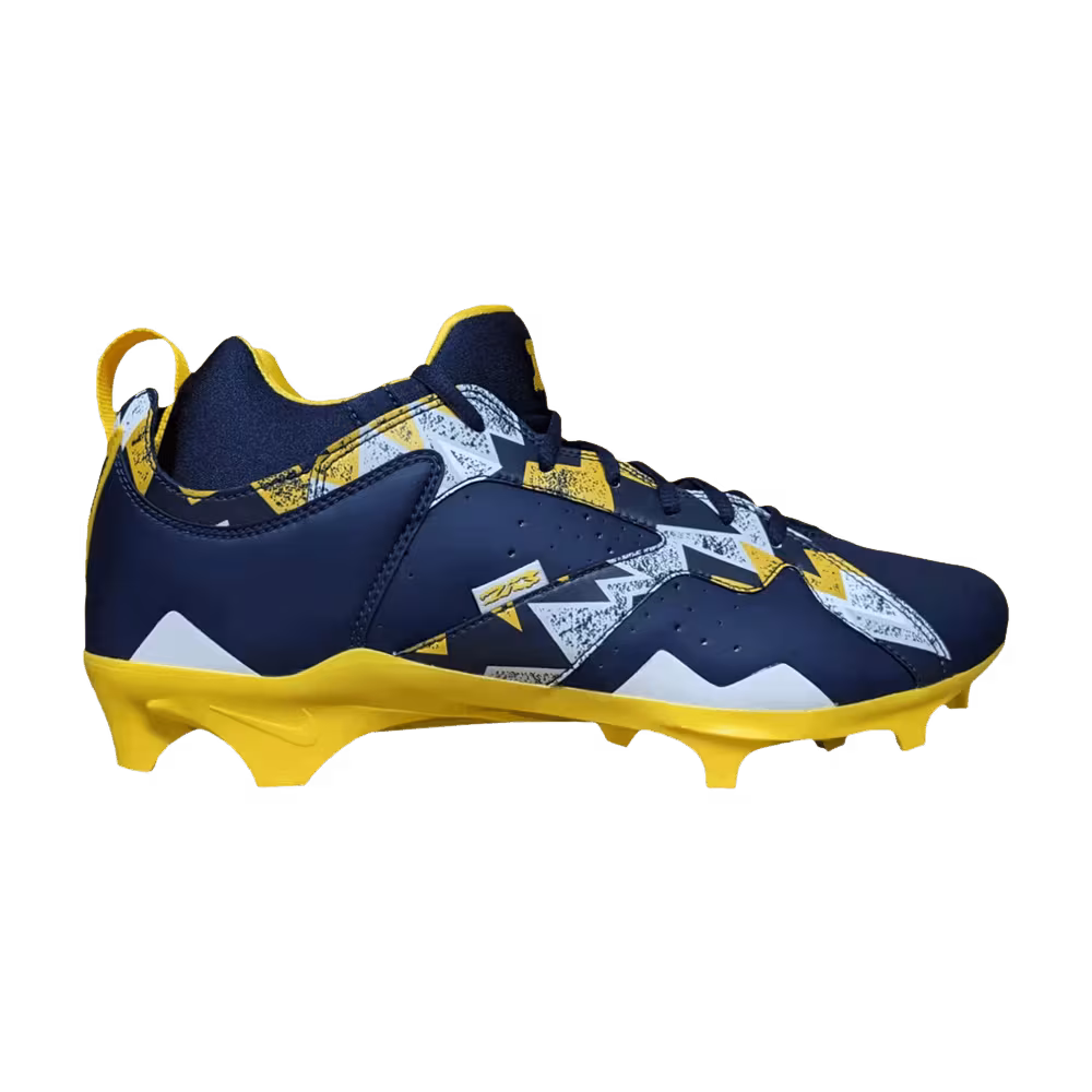 Air Jordan 7 Alpha Low Michigan Wolverines
