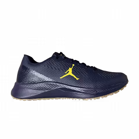 Air Jordan Vapor Edge TF SMU 'Michigan Wolverines'