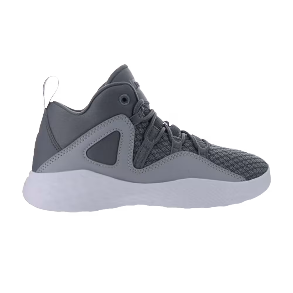Air Jordan Formula 23 PS Cool Grey