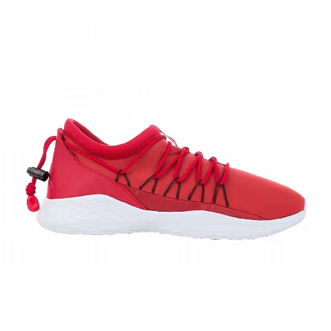 Air Jordan Formula 23 Toggle Low
