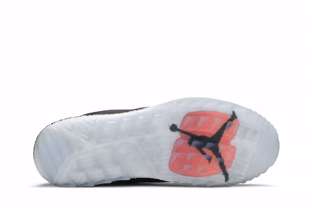 Air Jordan ADG Black Cement, view 5
