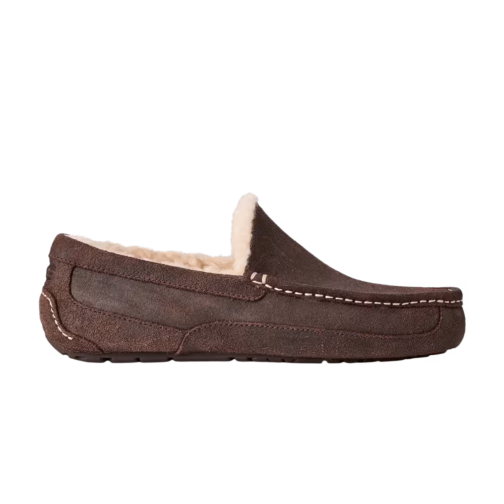UGG Ascot Slipper Dusted Cocoa