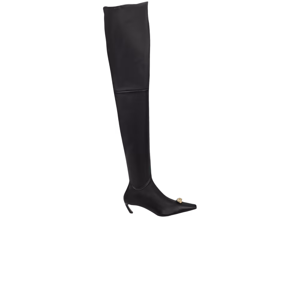 Lanvin Women's Swing Cuissardes Over The Knee Boot Black