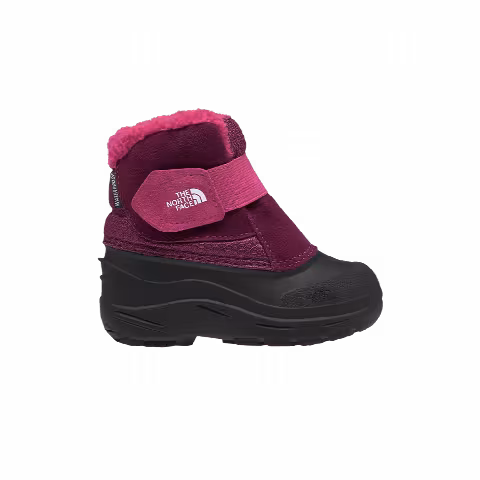 The North Face Alpenglow 2 Toddler 'Boysenberry Black'
