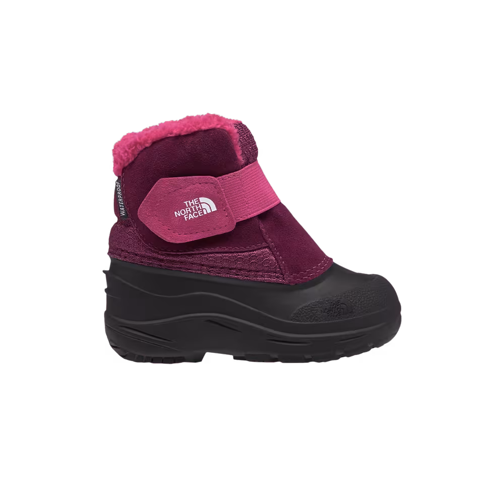 The North Face Alpenglow 2 Toddler Boysenberry Black