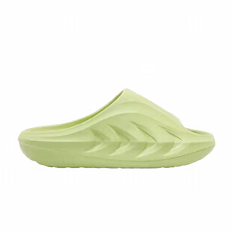 Rigorer Mini Shark 'Green'