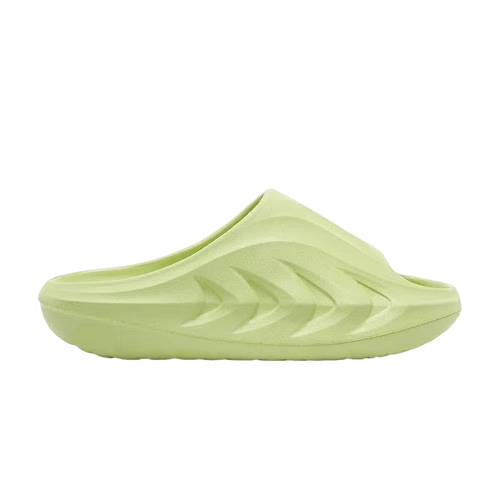 Rigorer Mini Shark Green