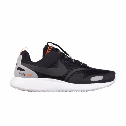 Nike Air Pegasus A/T Pinnacle