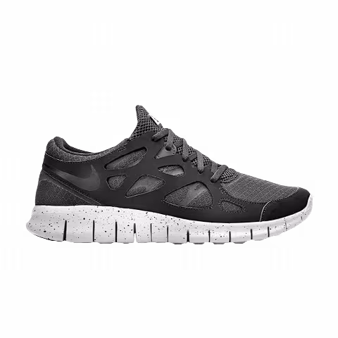 Nike Free Run 2 SP 'Genealogy of Free'