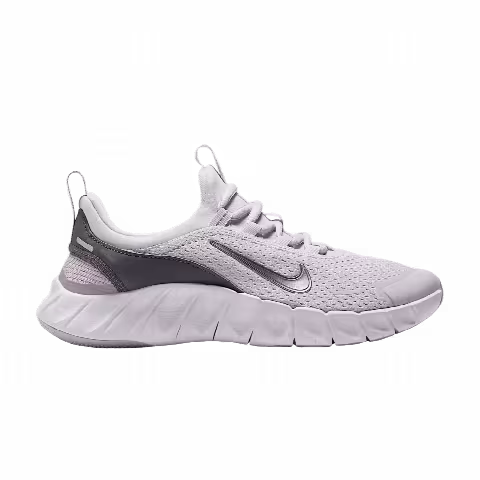 Nike Free Ride GS 'Photon Dust Silver Lilac'