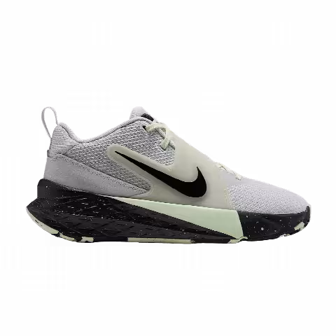 Nike Team Hustle D 12 SE GS 'Photon Dust Barely Volt'