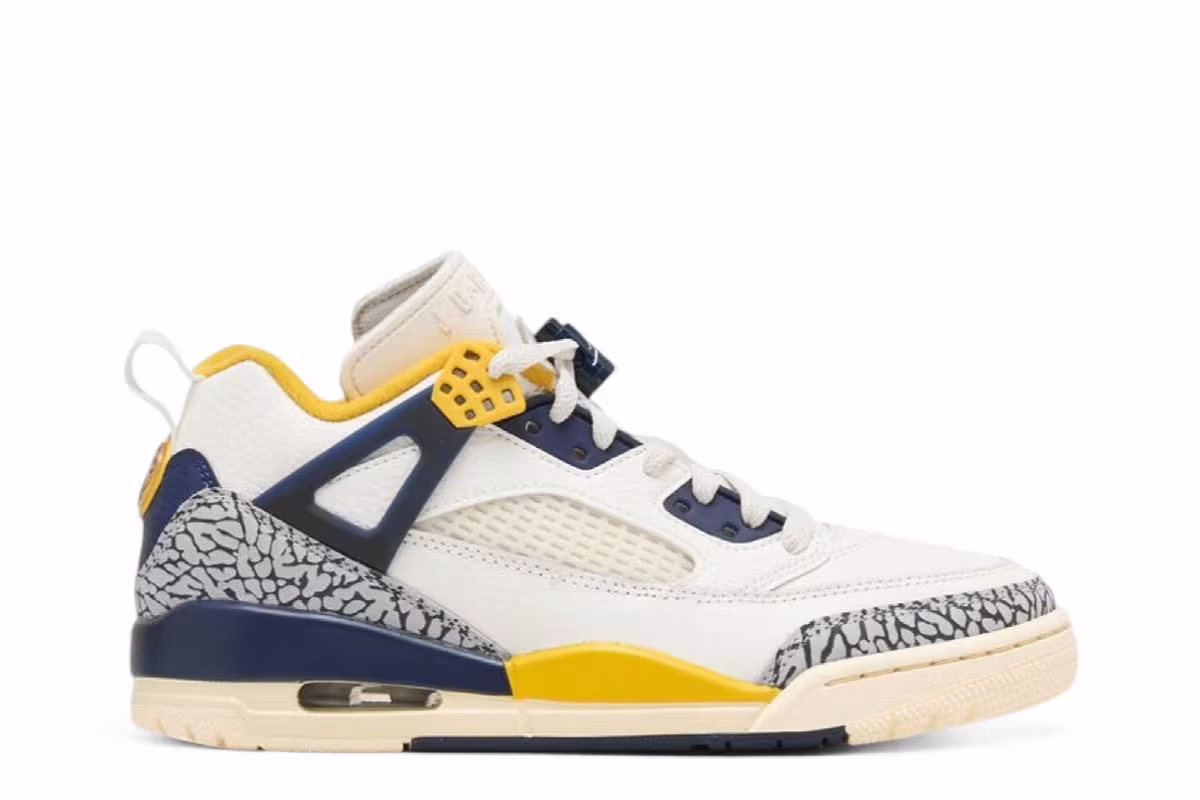 Air Jordan Spizike Low Michigan, view 2