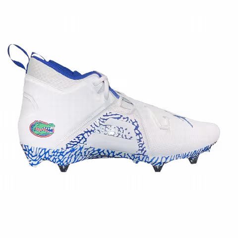 Air Jordan Alpha Menace Pro 3 D 'Florida Gators' PE