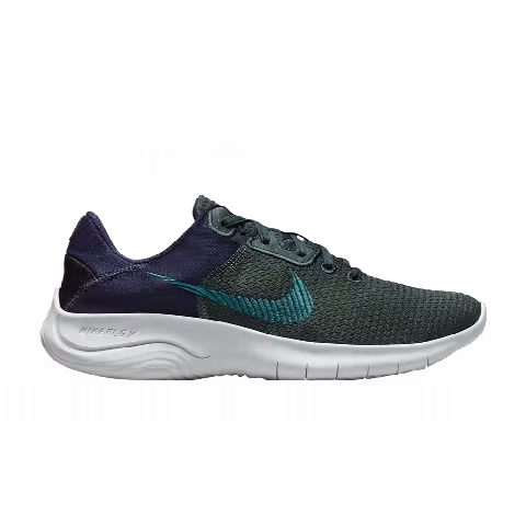 Nike Flex Experience Run 11 'Deep Jungle Purple Ink'