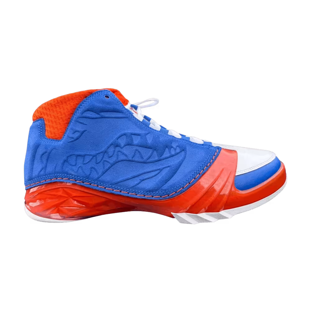 Air Jordan 23 Florida Gators