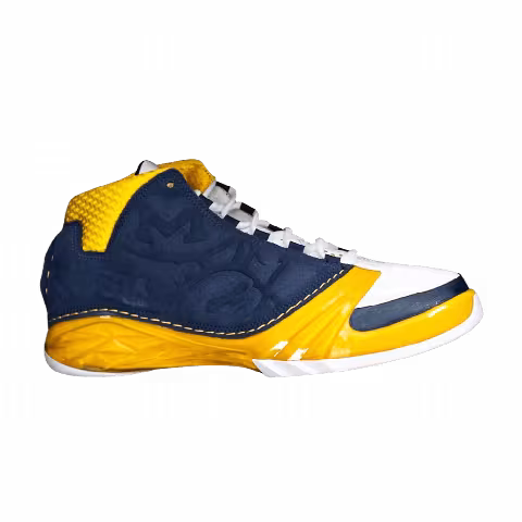 Air Jordan 23 Retro Promo 'Michigan Wolverines' PE