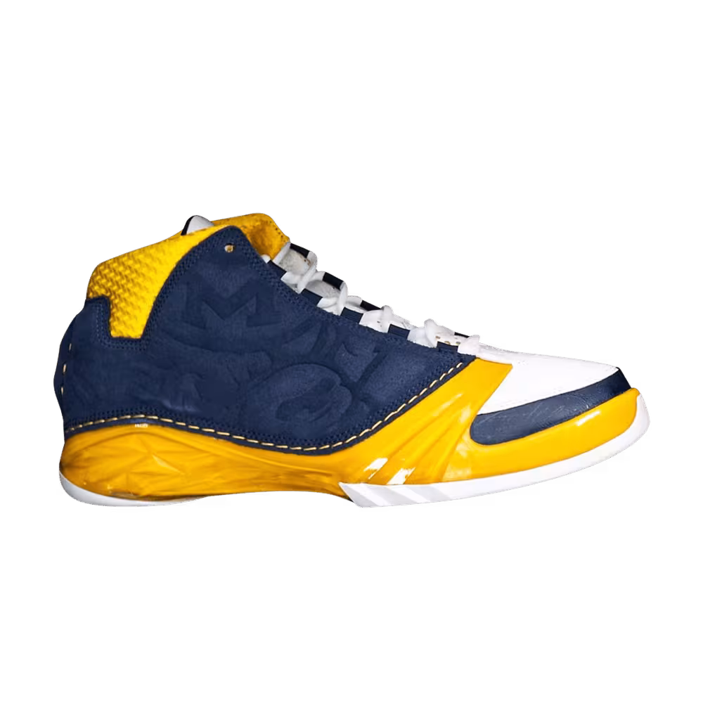 Air Jordan 23 Promo Michigan Wolverines