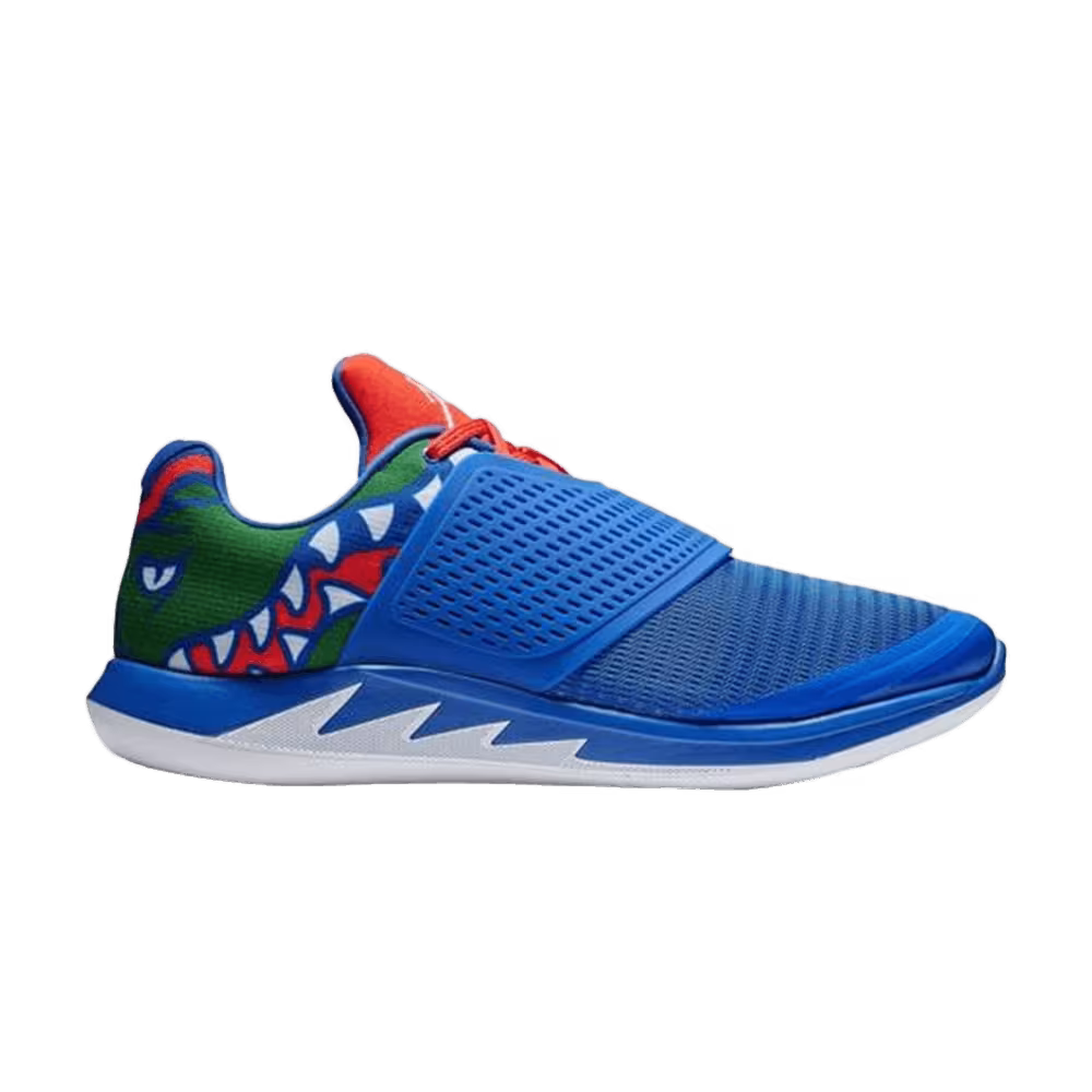 Air Jordan Grind 2 Florida Gators