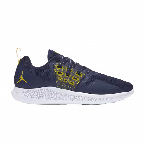 Air Jordan Grind 'Michigan Wolverines'