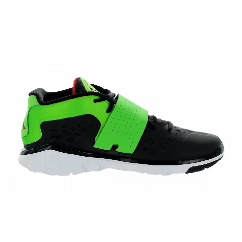 Air Jordan Flight Flex Trainer 2