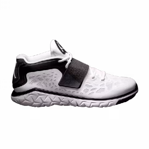 Air Jordan Flight Flex Trainer 2