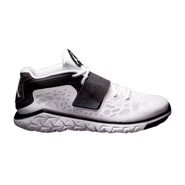 Air Jordan Flight Flex Trainer 2