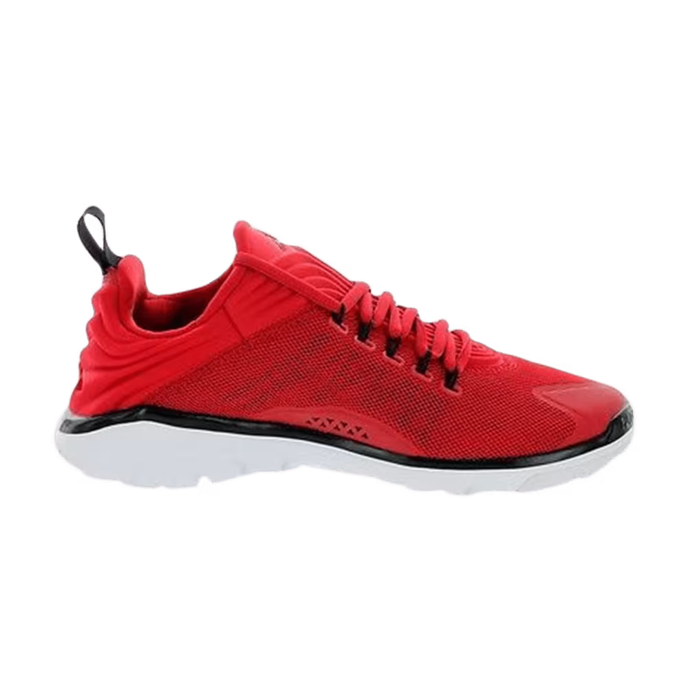 Air Jordan Flight Flex Trainer