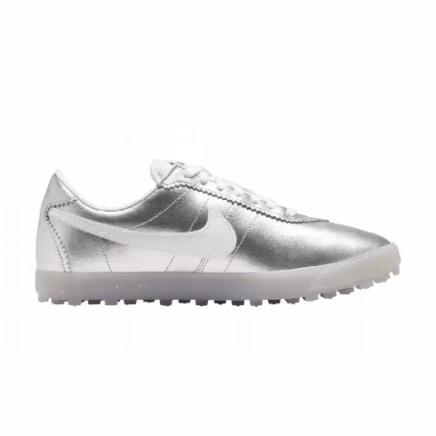 Nike Wmns Astro Grabber Leather Low Top 'Metallic Silver'