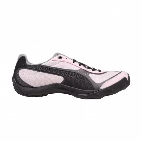 Puma Achillium 'Wisp Of Pink Shadow Gray'