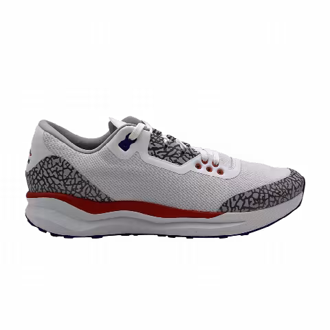 Air Jordan Zoom Tenacity 88 'Florida Gators' PE