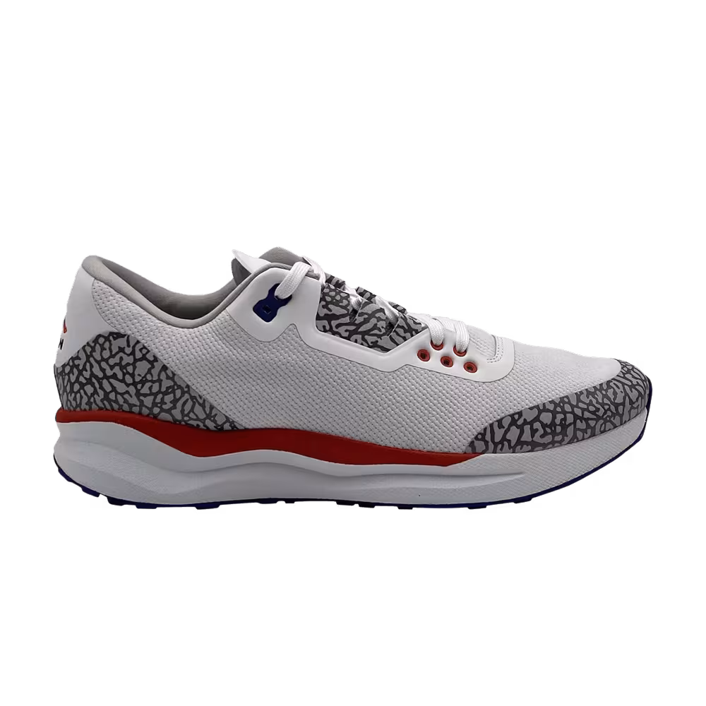 Air Jordan Zoom Tenacity 88 Florida Gators