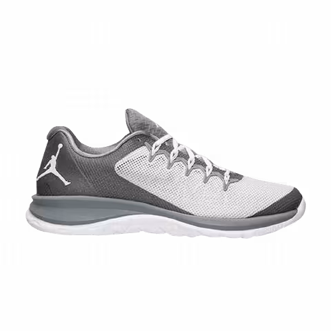 Air Jordan Flight Runner 2 'Cool Grey'