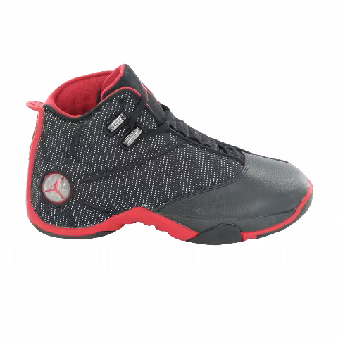 Air Jordan 12.5 Team